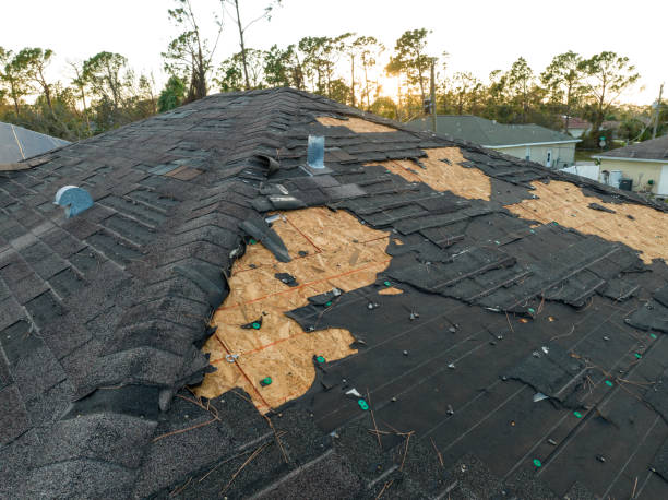 Best Asphalt Shingle Roofing  in Richwood, WV